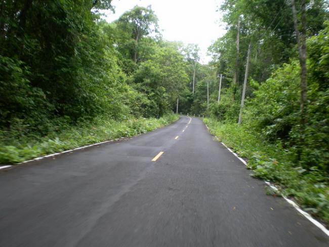 SANY6908.jpg